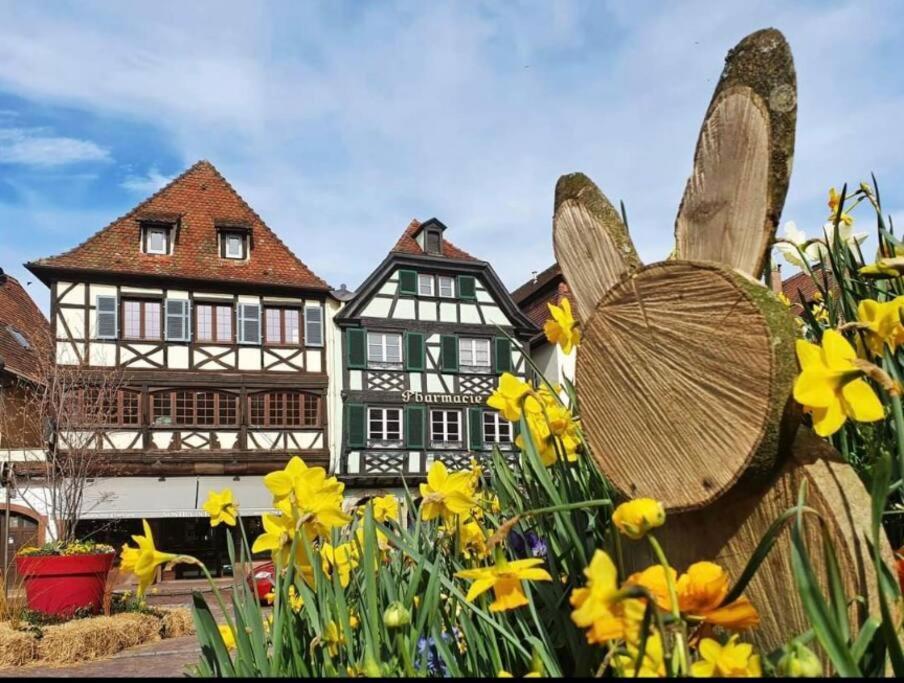 L'Appar'T - Centre Historique De Obernai Apartment Exterior photo